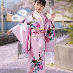 Resim Kızlar Tavuskuşu Serisi Japon Kimonu Dokuz Katlı Kollu Geleneksel Giyim + Bel Bandı + Sırt Yastığı Üç Parça Takım Tavus kuşu çiçeği rengi beş renge sahiptir ve giysilere farklı bir güzellik katmaktadır. Klasik bir Japon geleneksel tarzına sahiptir ve giyildiğinde yumuşak ve rahat hissettirir. Çin Boyutu, Lütfen Boyut Rehberini Dikkatlice Kontrol Edin 