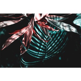 Resim Büyük Çiçekler Ve Tropikal Yapraklar Duvar Kağıdı 