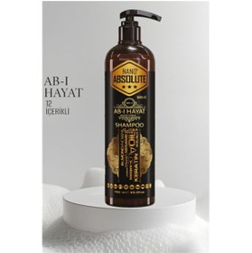 Resim Genel Markalar HSNET Ab-ı Hayat Nano Saç Şampuanı 12 İçerikli Absolute Professional 