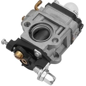 Resim Omega/palmera/solax/dakkın Cg-bg 63 Motorlu Tırpan Karbüratör 