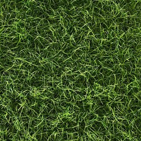 Resim Badem 28 mm Hav Yüksekliğinde Çim Halı - 200 cm En 