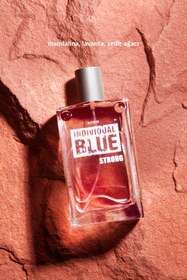 Resim Avon Indıvıdual Blue Strong 
