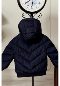 Resim Benitto Kids Erkek Bebek Kapüşonlu Kışlık Mont 51332 Lacivert 