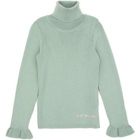 Resim U.S. Polo Assn. Kız Çocuk Su Yeşili Balıkçı Yaka Kazak 50297166-VR048 