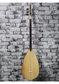 Resim Profesyonel Kısa Sap Nokta Klavyeli Jaklı Kompozit Bağlama 