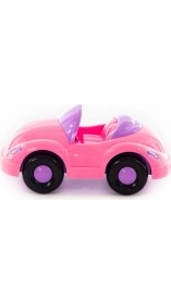 Resim Polesie Araba Veronika 