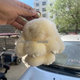 Resim Silver1 Gıoıo Yeni Sevimli Gerçek Saç Tilki Küçük Cinderblock Saç Araba Anahtarlık Kolye Ins Pixie Peluş Top Çanta Aksesuarları (Yurt Dışından) 