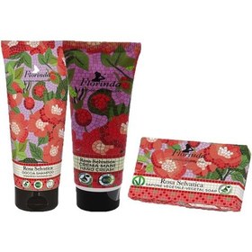 Resim Florinda Rosa Selvatica Gül Aromalı 3lü Set Çiçek 