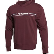 Resim Hummel Giyim Sweatshirts Hmldorio Hoodie 