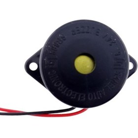 Resim Sanel Buzzer Sb888 6/24v Fasılalı ( Bip Bip ) 