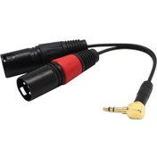 Resim 3.5mm (1/8 Inç) Stereo Erkek - Çift Xlr Erkek Kablosu 0.2m (Yurt Dışından) 