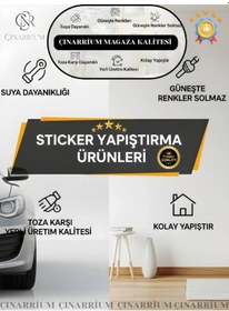 Resim Arabada Bebek Var Fil Tasarım Araba Sticker Çıkartma 