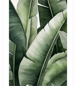 Resim Muz Ağacı - Art Print - 50x70 cm 