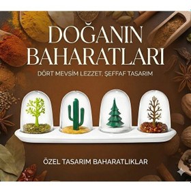 Resim 4 Mevsim Temalı Tasarım Baharatlık Seti - Dekoratif Ağaç Ve Kaktüs Figürlü Standlı Tuzluk B Çok Renkli 