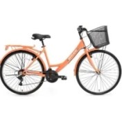 Resim Bisan Lotus 26”2024 