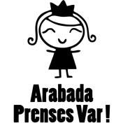Resim Arabada Prenses Var Duvar Dekor Sticker 40 x 52 cm 