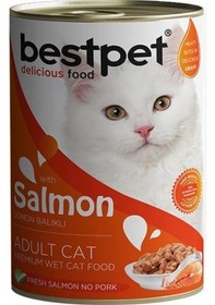 Resim Bestpet Somonlu Jöleli Yetişkin Konserve Kedi Maması 400 G 