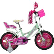 Resim Bisan Kds 2100 16 Jant Rose Kadro: 24 cm 1 Vites Yeşil-Beyaz/pembe 