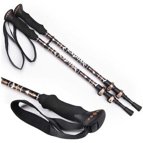 Resim Evolite Yürüyüş Batonu Golden Trekking Poles Siyah 