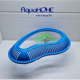 Resim Kamlumbağa Bahçesi - Mavi 