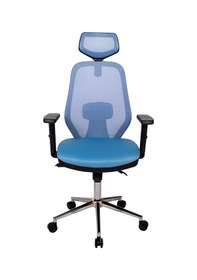 Resim Ofisbazaar Dali Fileli Yönetici Koltuğu Ergonomik Başlıklı Ofis Koltuğu Açık Mavi Mavi 