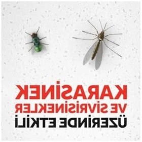Resim Sinek Öldürücü Spray, 300 Ml, Karasinek Ve Sivrisineklere Karşı Etkili 0000 Parlak Vernik 