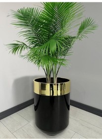 Resim Dekoratif Gold Darbuka Parlak Siyah Saksı 60cm 