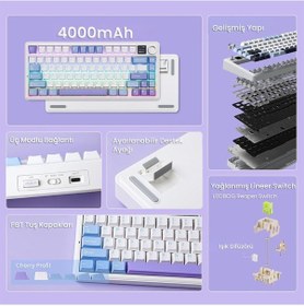 Resim Aula F75 Max Mekanik Kablosuz Ve Kablolu Gaming Oyuncu Klavyesi Rgb Tkl Reaper Switch Hot Swap Makrolu Mor 