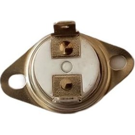 Resim Silter Kazanlı Ütüler için Porselen Sigorta 260 °C 