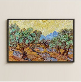 Resim Van Gogh Zeytin Ağaçları Güneşli Pleksi Tablo 