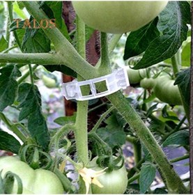 Resim Jms 100 Adet Destek Bitki Klipleri Bahçe Sebzeleri Domates Asma Sapları Dik Büyür 