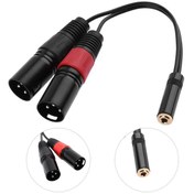 Resim 3.5 Mm Stereo Dişi-2 Xlr Erkek Kablo 20 Cm 