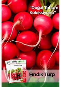 Resim Patika Botanik 500 Adet Fındık Turp Tohumu 