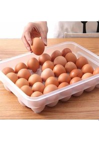 Resim 30lu Yumurta Saklama Kabı Çok Renkli 