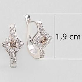 Resim Zamansız Işıltı 18 Ayar Rose Ve Beyaz Altın Kaplama Gümüş Küpe Çok Renkli 