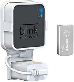 Resim Blink Sync Modülü 2 Bağlantılı Yerel Video Depolama için 256GB USB Flash Sürücü (Göz Kırpma Eklentisi Senkronizasyon Modülü 2 Dahil DEĞİLDİR) 