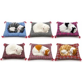 Resim Yastıkta Uyuyan Kedi Sesli Alk25 diğer 