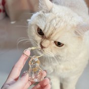 Resim Şeffaf Evcil Hayvan Tüyü Organizatörü - Zincir Tasarımlı Şık Silindir Kutu, Kedi ve Köpek Tüyleri İçin Pratik Saklama Kabı - Temizlemesi Kolay, Anahtarlık veya Çanta Uyumlu, Minimalist Tasarım, Hafif Malzeme, Ev Düzenleyici, Hediye Seçeneği 