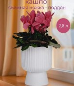 Resim 5plast Saksı Ayaklı Tabanlı İç Mekan Çiçek Saksısı - 2,8 Litre 439623654 