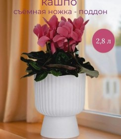 Resim 5plast Saksı Ayaklı Tabanlı İç Mekan Çiçek Saksısı - 2,8 Litre 439623654 