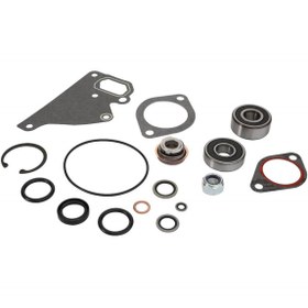 Resim AGCO Su Pompası Tamir Kiti - Massey Ferguson / Fendt / Valtra | ACP0566440 