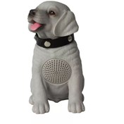 Resim Concord Ch-m237 Bt/usb/tf Köpek Bluetooth Hoparlör 