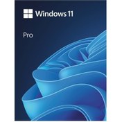 Resim MS Windows 11 PRO 32/64 BIT TR Kutu USB HAV-00159 