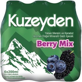 Resim Kuzeyden Berry Mix Maden Suyu 6x200 ml 