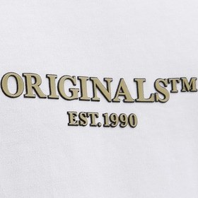 Resim Jack & Jones Erkek Jorıslıngton Bisiklet Yaka Kısa Kollu %100 Pamuk T-shirt 12273157 Beyaz Beyaz 
