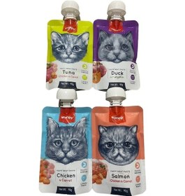 Resim Wanpy Tasty Meat Paste 4 Çeşit Taze Sıvı Kedi Ödül Maması 4 x 90 G 