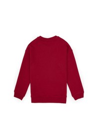Resim U.s. Polo Assn. Erkek Çocuk Sweatshirt 50313829-vr104 Koyu Frambuaz/dark Raspberry 