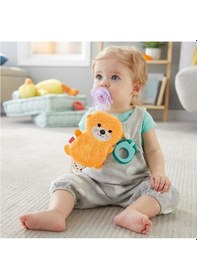 Resim Fisher Price Clipimals Emzik Tutacağı Gkc49 Gjd29 