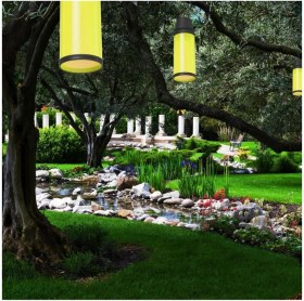 Resim Sarı Kapsüllü Doğa Ağaç Feneri, Şık ve Hafif Tasarım 