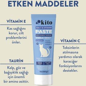 Resim Kısır veya Yetişkin Kediler İçin Tüy Yumağı Önleyici ve Sindirim Destekleyici Malt Macunu 100g 